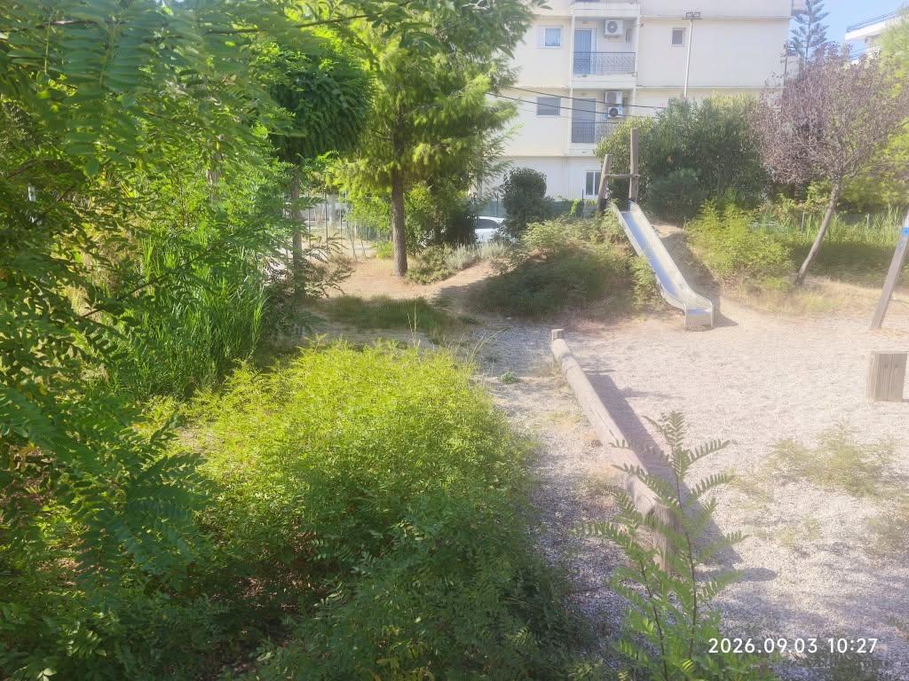 Πάτρα: Παιδική χαρά «ζούγκλα» με ζητήματα υγείας και ασφάλειας ΦΩΤΟ 8 Πάτρα: Παιδική χαρά «ζούγκλα» με ζητήματα υγείας και ασφάλειας ΦΩΤΟ