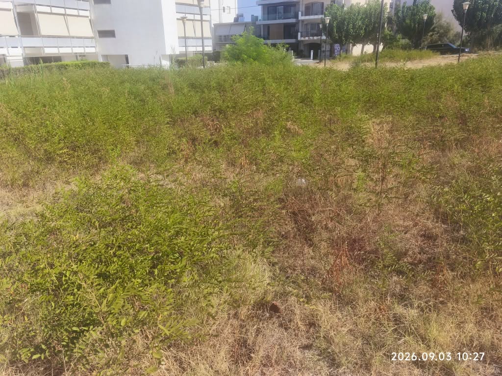 Πάτρα: Παιδική χαρά «ζούγκλα» με ζητήματα υγείας και ασφάλειας ΦΩΤΟ 6 Πάτρα: Παιδική χαρά «ζούγκλα» με ζητήματα υγείας και ασφάλειας ΦΩΤΟ