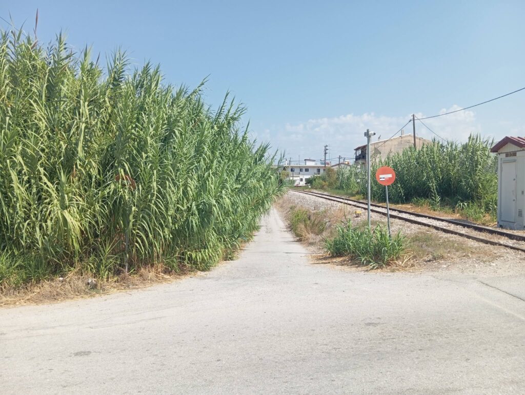 Ιτιές: Ο,τι απαγορεύεται το έχει διάσπαρτα η παρατημένη παραλιακή συνοικία της Πάτρας ΦΩΤΟ