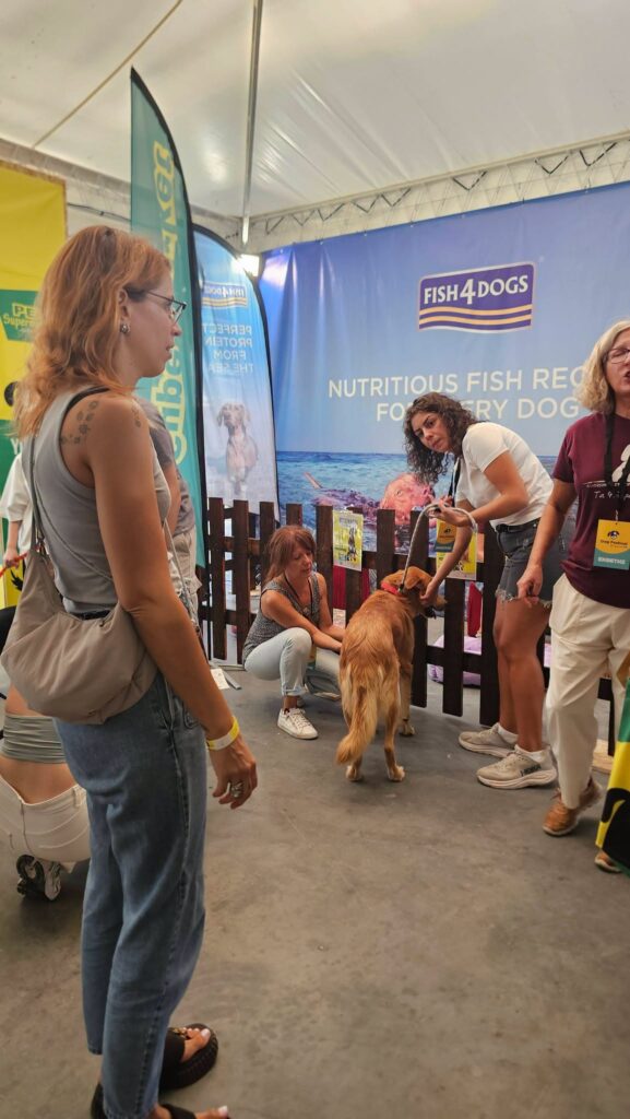 Στο «Dog Festival 2026» ο Δήμος Αιγιαλείας με αδέσποτα ΦΩΤΟ