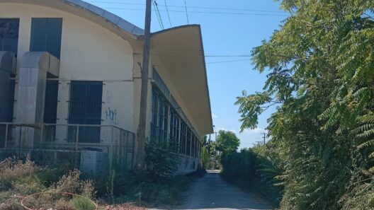 Πάτρα: «Τροπική ζούγκλα» με αγριόχορτα και κλαδιά σε δημόσιο χώρο ΒΙΝΤΕΟ-ΦΩΤΟ