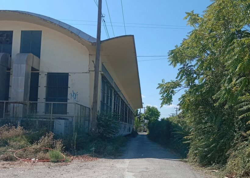 Πάτρα: «Τροπική ζούγκλα» με αγριόχορτα και κλαδιά σε δημόσιο χώρο ΒΙΝΤΕΟ-ΦΩΤΟ 4 Πάτρα: «Τροπική ζούγκλα» με αγριόχορτα και κλαδιά σε δημόσιο χώρο ΒΙΝΤΕΟ-ΦΩΤΟ