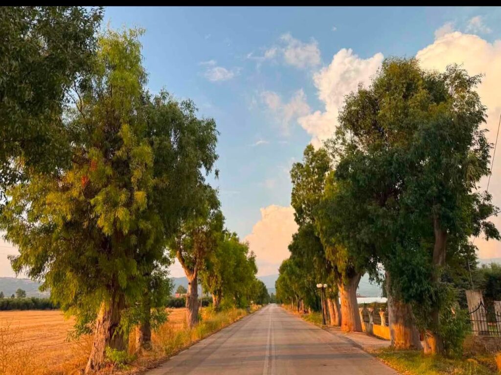 Επανεκκίνηση του Πολιτιστικού Συλλόγου στο Ίσωμα Αχαΐας ΦΩΤΟ