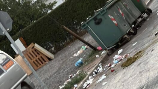 Απορρίμματα και καλιμέρα μπροστά σε φούρνο στην Αχαγιά