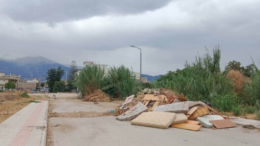 Ζαρουχλέικα: Η οδός Μεγάλου Αλεξάνδρου έχει μετατραπεί σε σκουπιδότοπο ΦΩΤΟ