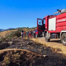 Φωτογραφία δασικής πυρκαγιάς στη Μουρική, Καλάβρυτα