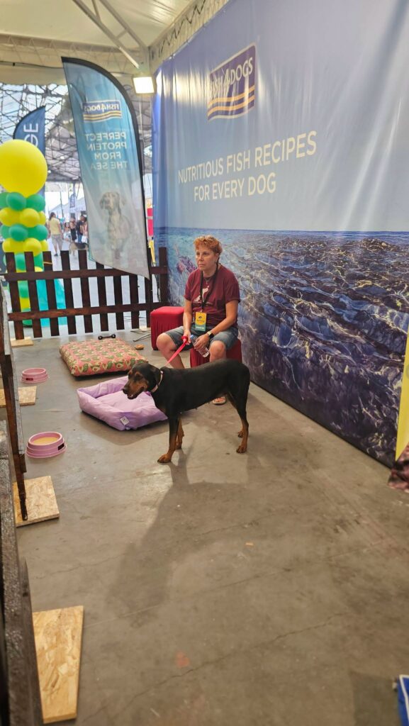 Στο «Dog Festival 2026» ο Δήμος Αιγιαλείας με αδέσποτα ΦΩΤΟ