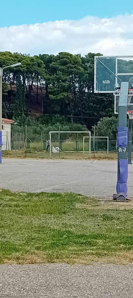 Ακράτα: Αντιπλημμυρική θωράκιση στο σχολείο πριν τα πρωτοβρόχια ΦΩΤΟ