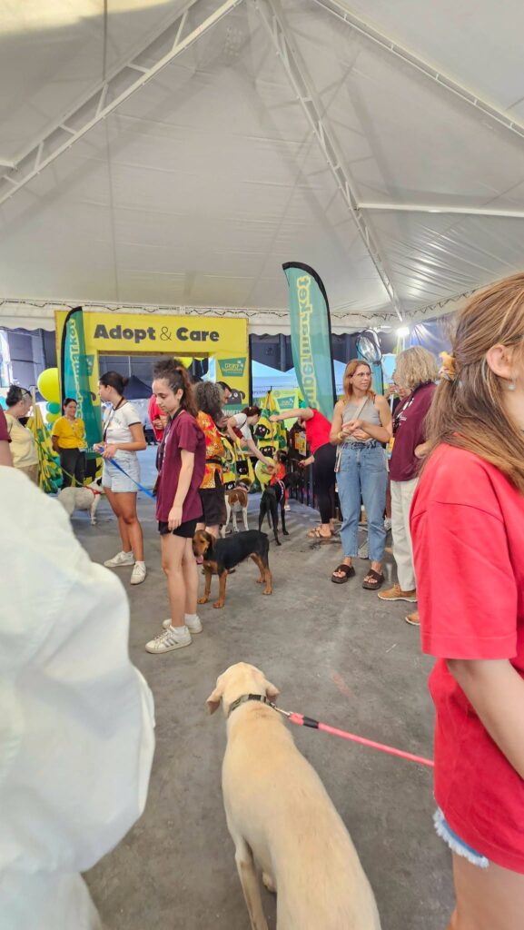 Στο «Dog Festival 2026» ο Δήμος Αιγιαλείας με αδέσποτα ΦΩΤΟ