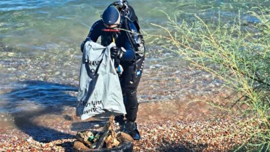 Η εθελοντική δράση «Μία μέρα για την ακτή» στην Αλυκή Αιγίου ΦΩΤΟ