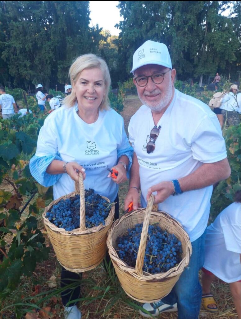 Πάτρα: «Αναστήθηκε» από τις στάχτες της η Achaia Clauss – Πολιτικοί και πολίτες τρύγησαν μετά την πυρκαγιά ΦΩΤΟ
