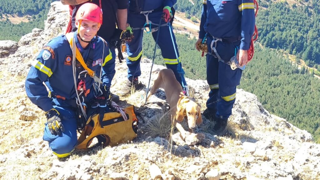 Πάτρα: Επιχείρηση της 6ης ΕΜΑΚ για διάσωση σκύλου στο όρος Γκούρα ΦΩΤΟ