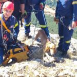 Πάτρα: Επιχείρηση ορειβατών της 6ης ΕΜΑΚ για διάσωση σκύλου ΦΩΤΟ