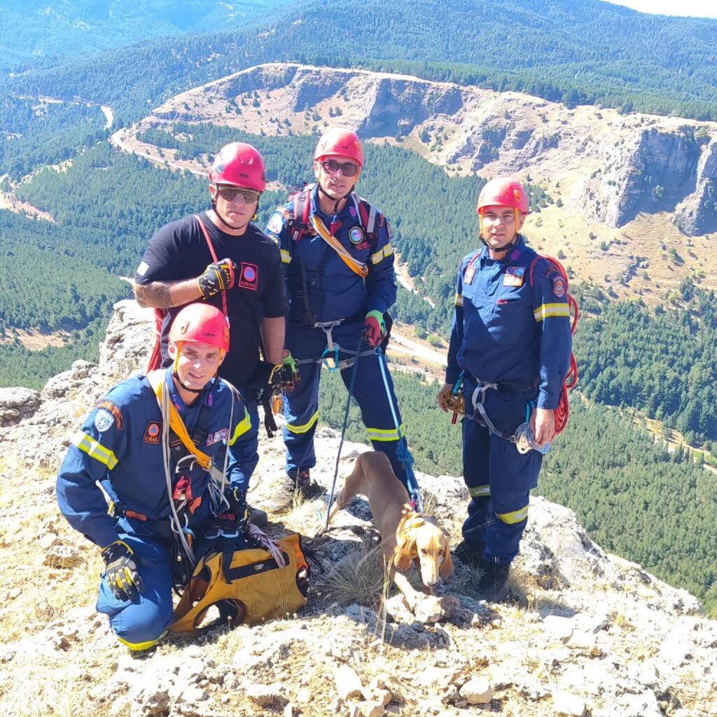 Πάτρα: Επιχείρηση ορειβατών της 6ης ΕΜΑΚ για διάσωση σκύλου στο όρος Γκούρα ΦΩΤΟ 5 Πάτρα: Επιχείρηση ορειβατών της 6ης ΕΜΑΚ για διάσωση σκύλου στο όρος Γκούρα ΦΩΤΟ