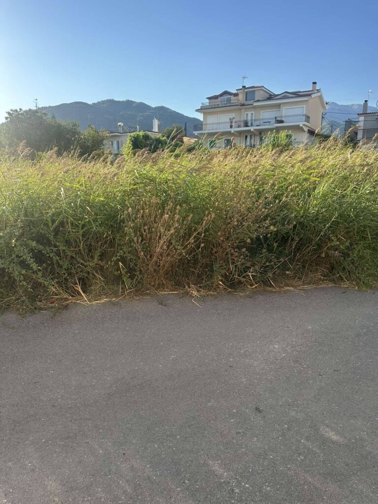 Ρίο: Ακαθάριστο οικόπεδο-«βόμβα» στην καρδιά της περιοχής ΦΩΤΟ