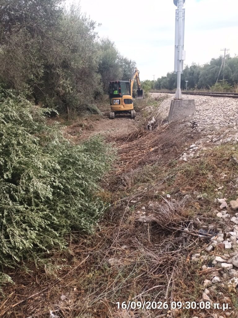 Μονοδένδρι: Ξεκίνησε η διάνοιξη νέου δρόμου διαφυγής προς τα Ροίτικα ΦΩΤΟ 5 Μονοδένδρι: Ξεκίνησε η διάνοιξη νέου δρόμου διαφυγής προς τα Ροίτικα ΦΩΤΟ