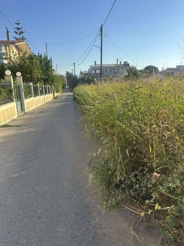 Ρίο: Ακαθάριστο οικόπεδο-«βόμβα» στην καρδιά της περιοχής ΦΩΤΟ