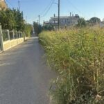 Ρίο: Ακαθάριστο οικόπεδο-«βόμβα» στην καρδιά της περιοχής ΦΩΤΟ