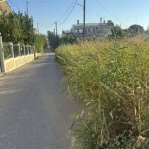 Ρίο: Ακαθάριστο οικόπεδο-«βόμβα» στην καρδιά της περιοχής ΦΩΤΟ