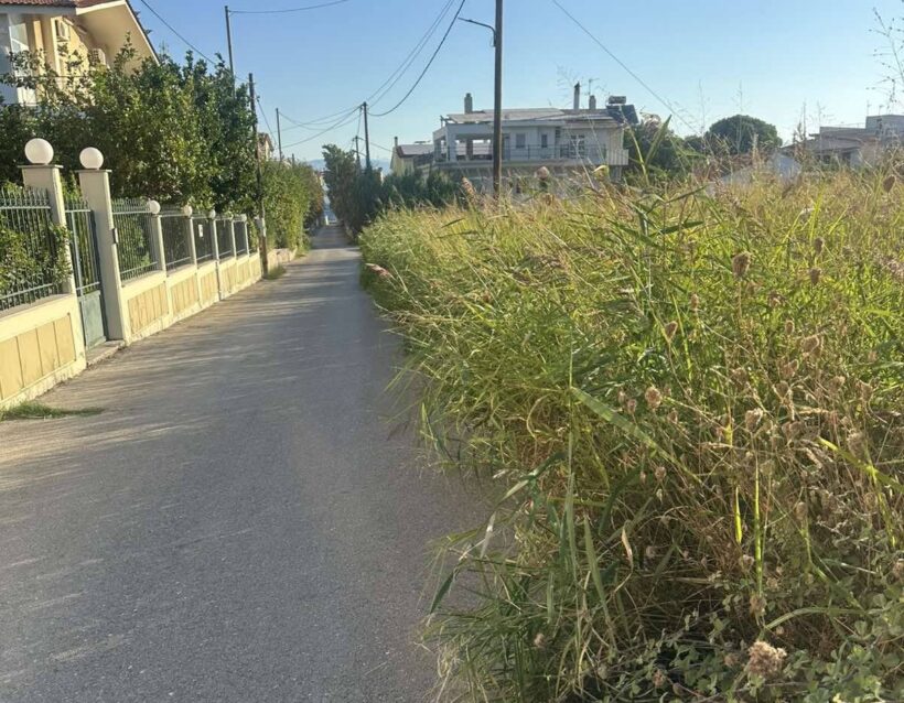 Ρίο: Ακαθάριστο οικόπεδο-«βόμβα» στην καρδιά της περιοχής ΦΩΤΟ