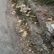 Εγλυκάδα: Έντονες διαμαρτυρίες κατοίκων για έλλειψη καθαριότητας ΦΩΤΟσ 1 Εγλυκάδα: Έντονες διαμαρτυρίες κατοίκων για έλλειψη καθαριότητας ΦΩΤΟσ