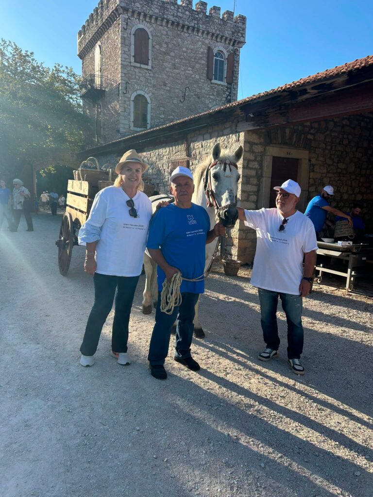 Πάτρα: «Αναστήθηκε» από τις στάχτες της η Achaia Clauss – Πολιτικοί και πολίτες τρύγησαν μετά την πυρκαγιά ΦΩΤΟ
