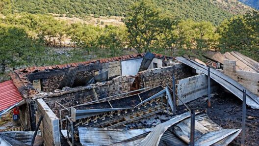 Καλάβρυτα: Πυρκαγιά σε κτηνοτροφική μονάδα με πολλές ζημιές ΒΙΝΤΕΟ-ΦΩΤΟ 14 Καλάβρυτα: Πυρκαγιά σε κτηνοτροφική μονάδα με πολλές ζημιές ΒΙΝΤΕΟ-ΦΩΤΟ
