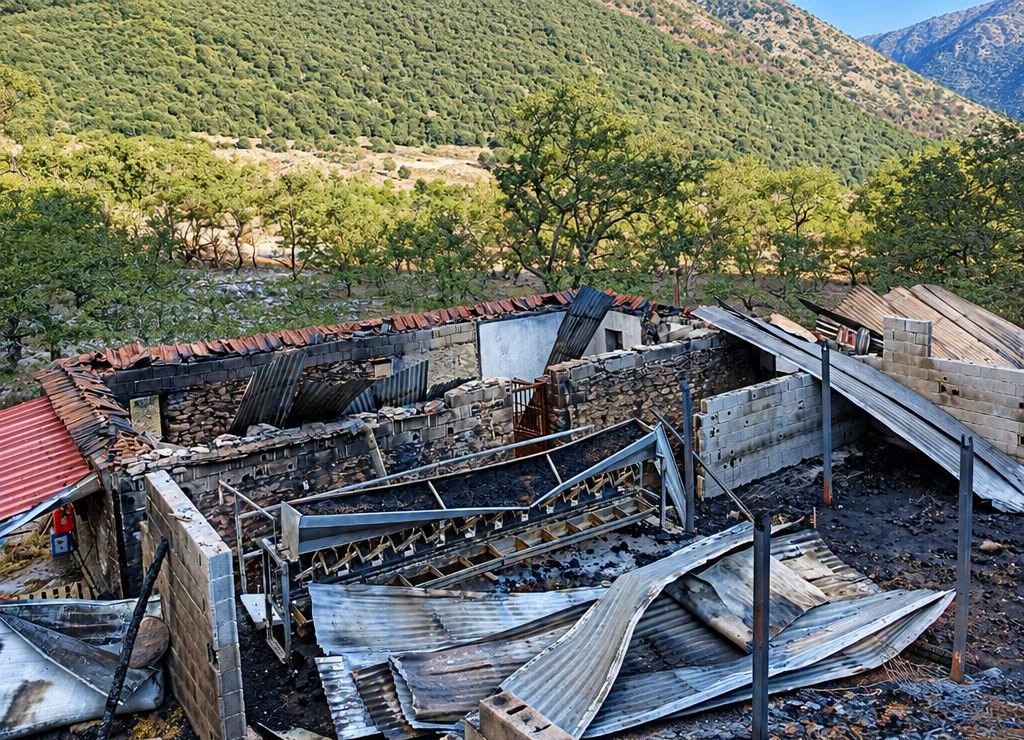 Καλάβρυτα: Πυρκαγιά σε κτηνοτροφική μονάδα με πολλές ζημιές ΒΙΝΤΕΟ-ΦΩΤΟ