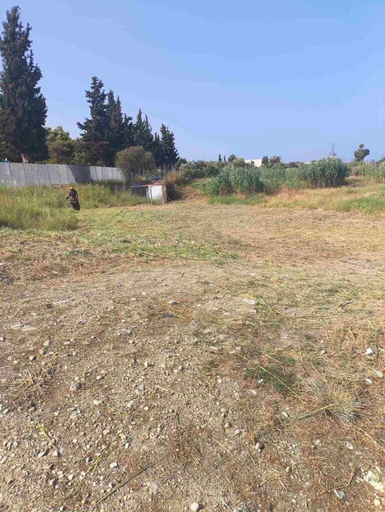 Ρίο: Ευρείας κλίμακας καθαριότητα και συντήρηση πρασίνου στην Πανεπιστημιούπολη ΦΩΤΟ