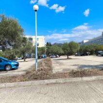 Ρίο: Ευρείας κλίμακας καθαριότητα και συντήρηση πρασίνου στην Πανεπιστημιούπολη ΦΩΤΟ