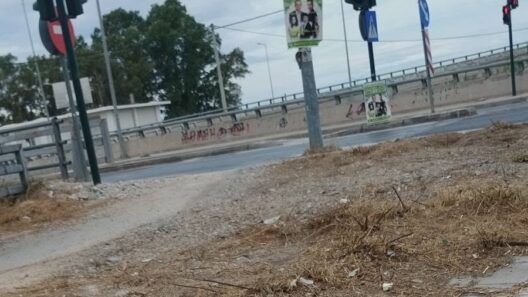 Πάτρα: Καθαρισμός χόρτων Γλαύκου και Ακτή Δυμαίων μετά από παρέμβαση πολιτών ΦΩΤΟ 12 Καθαρισμός δημόσιων χώρων στην Πάτρα, Γλαύκο και Άκτη Δυμαίων
