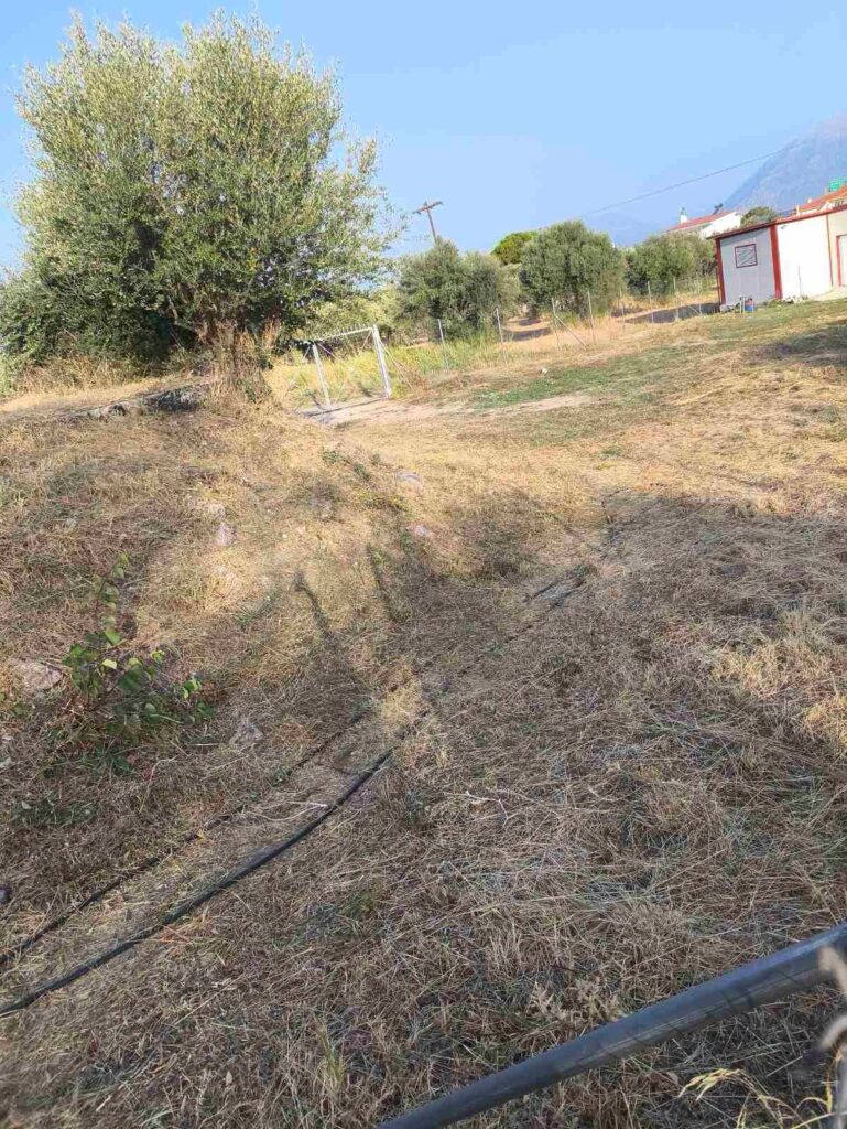 Ρίο: Ευρείας κλίμακας καθαριότητα και συντήρηση πρασίνου στην Πανεπιστημιούπολη ΦΩΤΟ
