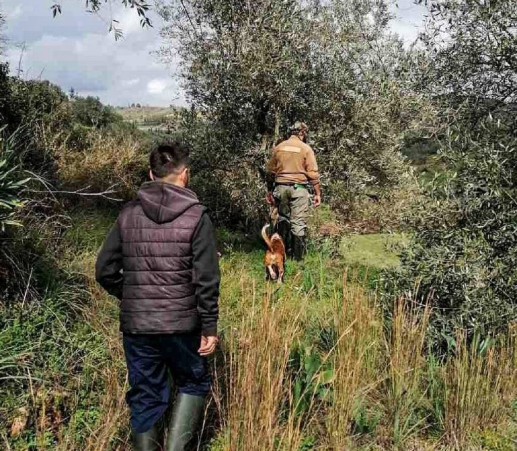 Πάτρα: Δύο εβδομάδες ερευνών και αγωνίας για την 81χρονη αγνοούμενη Γεωργία Κριμπά – Τι ζητά η οικογένειά της - Στο Patrapress
