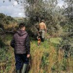 Πάτρα: Δύο εβδομάδες ερευνών και αγωνίας για την 81χρονη αγνοούμενη Γεωργία Κριμπά – Τι ζητά η οικογένειά της - Στο Patrapress