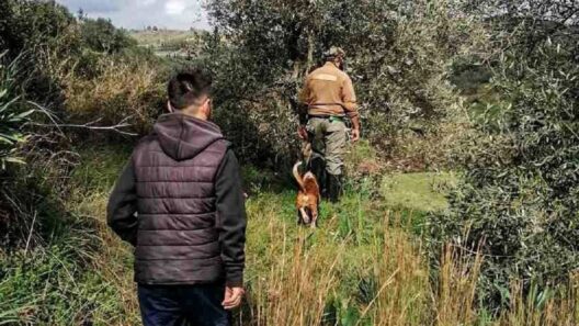 Πάτρα: Δύο εβδομάδες ερευνών και αγωνίας για την 81χρονη αγνοούμενη Γεωργία Κριμπά – Τι ζητά η οικογένειά της - Στο Patrapress