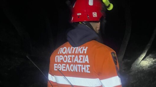 Εθελοντές στο Ροδιά κατά τη διάρκεια πυρκαγιάς και δάσωση χελωνών