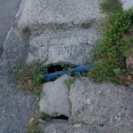 Μποζαΐτικα: «Τρισάθλιο και επικίνδυνο» πεζοδρόμιο για μαθητές και φοιτητές - Ηχηρή παρέμβαση των Οικολόγων ΦΩΤΟ