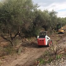 Μονοδένδρι: Ξεκίνησε η διάνοιξη νέου δρόμου διαφυγής προς τα Ροίτικα ΦΩΤΟ