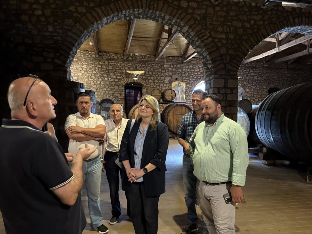 Πάτρα: Περιοδεία του ΠΑΣΟΚ με επίκεντρο τον πολιτισμό και την Achaia Clauss ΦΩΤΟ