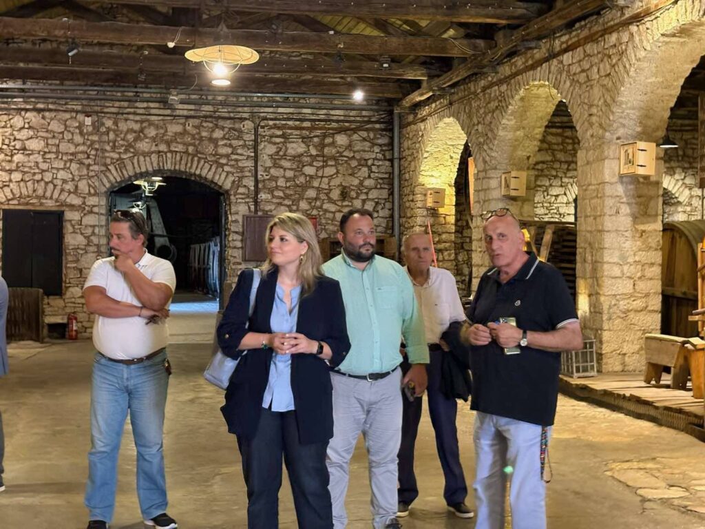 Πάτρα: Περιοδεία του ΠΑΣΟΚ με επίκεντρο τον πολιτισμό και την Achaia Clauss ΦΩΤΟ