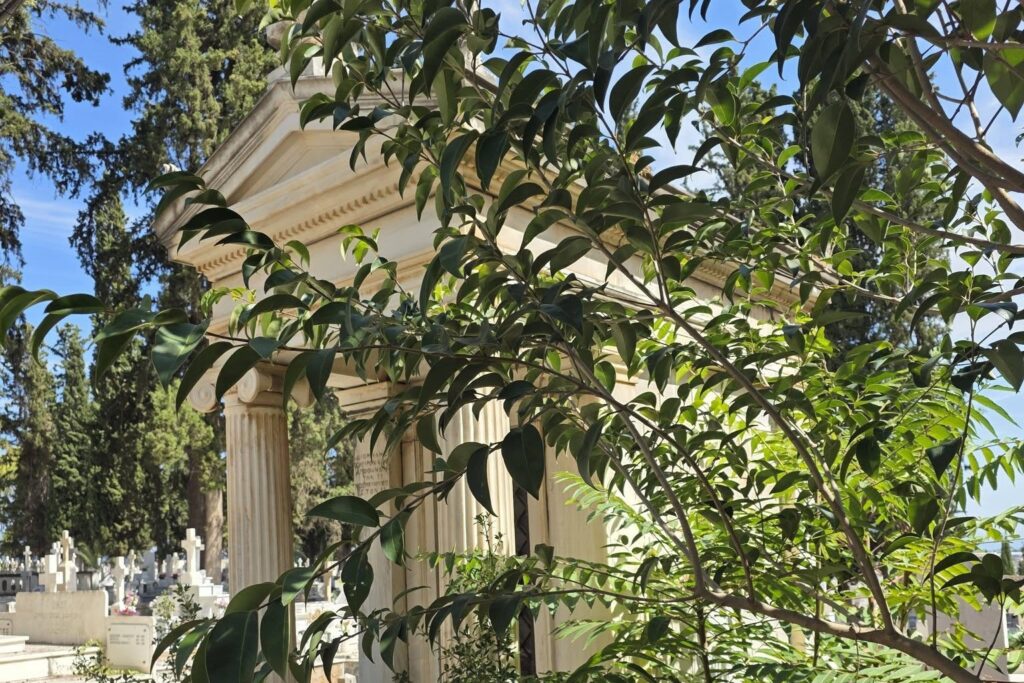 Αίγιο: Έντονες αντιδράσεις για την εγκατάλειψη στο μνήμα του Διομήδη Πολυχρονιάδη ΦΩΤΟ