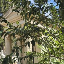 Αίγιο: Έντονες αντιδράσεις για την εγκατάλειψη στο μνήμα του Διομήδη Πολυχρονιάδη ΦΩΤΟ