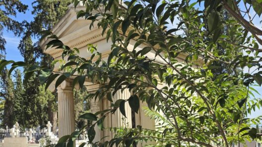 Αίγιο: Έντονες αντιδράσεις για την εγκατάλειψη στο μνήμα του Διομήδη Πολυχρονιάδη ΦΩΤΟ 15 Αίγιο: Έντονες αντιδράσεις για την εγκατάλειψη στο μνήμα του Διομήδη Πολυχρονιάδη ΦΩΤΟ