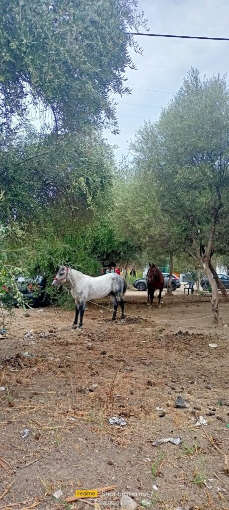 Η πρώτη βόλτα της χρονιάς από τους «Πεζοπόρους της Πάτρας» ΦΩΤΟ