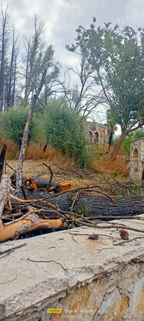 Η πρώτη βόλτα της χρονιάς από τους «Πεζοπόρους της Πάτρας» ΦΩΤΟ