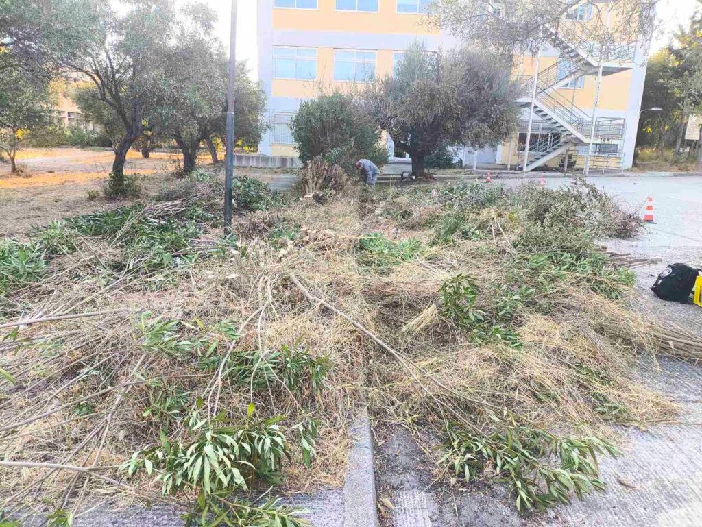 Ρίο: Εργασίες καθαριότητας και καλλωπισμού στην Πανεπιστημιούπολη ΦΩΤΟ 8 Ρίο: Εργασίες καθαριότητας και καλλωπισμού στην Πανεπιστημιούπολη ΦΩΤΟ