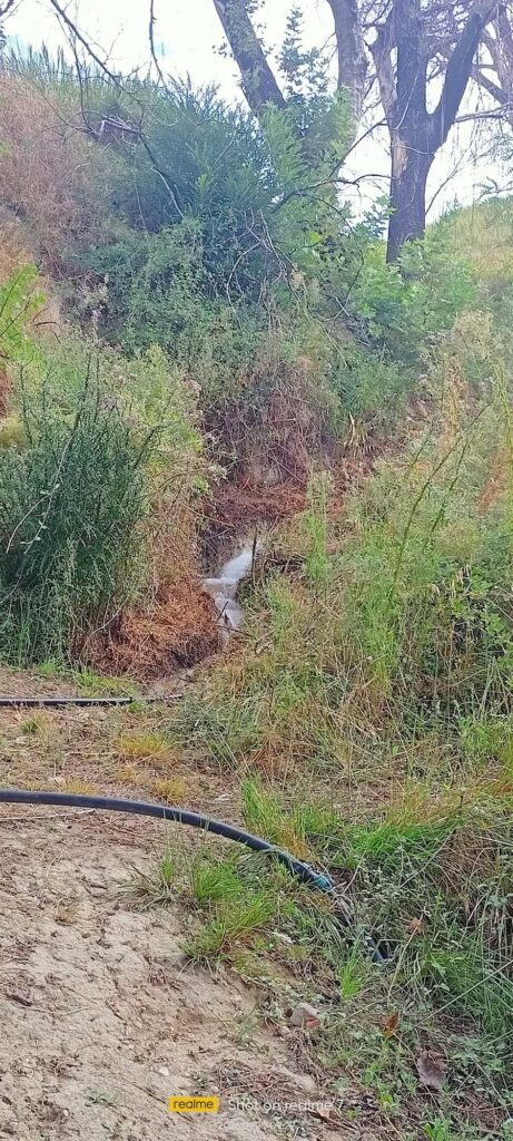 Η πρώτη βόλτα της χρονιάς από τους «Πεζοπόρους της Πάτρας» ΦΩΤΟ