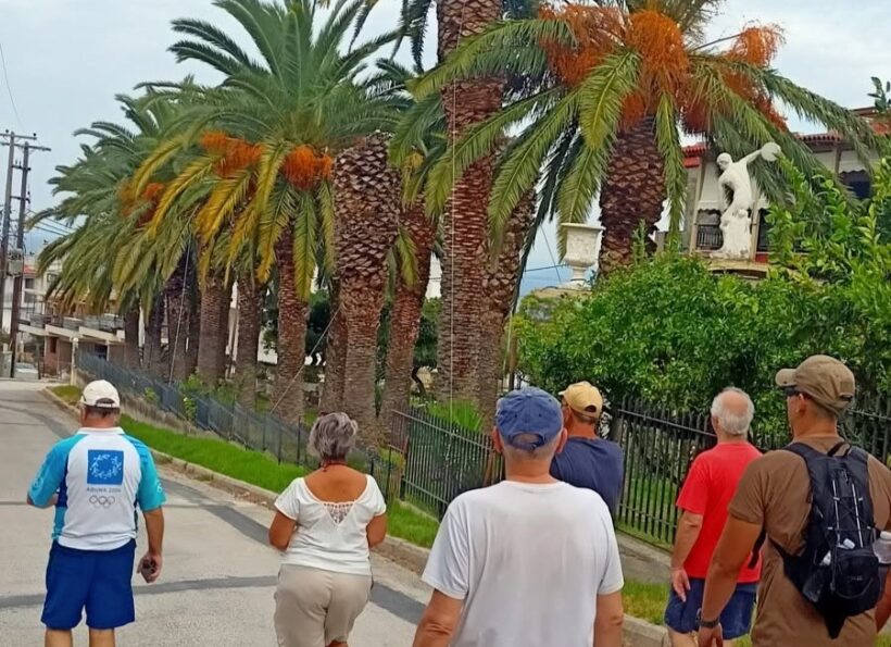 Η πρώτη βόλτα της χρονιάς από τους «Πεζοπόρους της Πάτρας» ΦΩΤΟ 4 Η πρώτη βόλτα της χρονιάς από τους «Πεζοπόρους της Πάτρας» ΦΩΤΟ