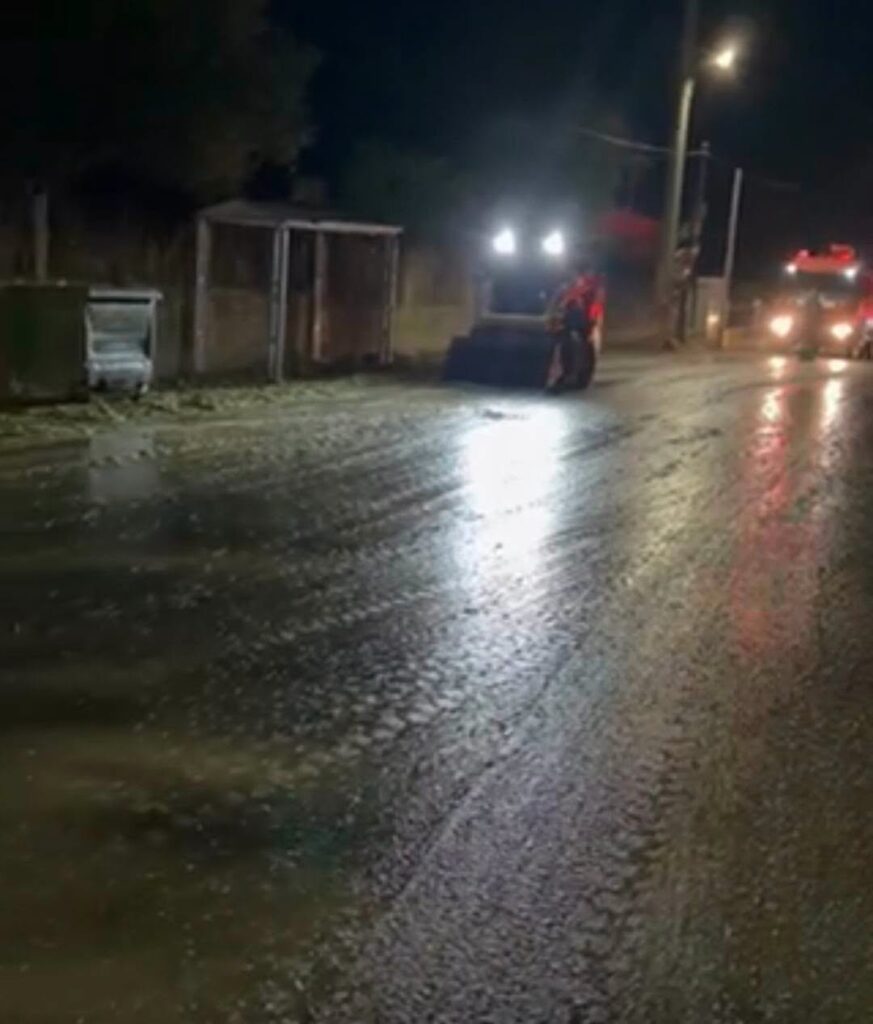 Αχαΐα: Γέμισε σταφύλια ο δρόμος ΒΙΠΕ Πάτρας με Θεριανό και επενέβη η Πολιτική Προστασία ΦΩΤΟ 5 Αχαΐα: Γέμισε σταφύλια ο δρόμος ΒΙΠΕ Πάτρας με Θεριανό και επενέβη η Πολιτική Προστασία ΦΩΤΟ
