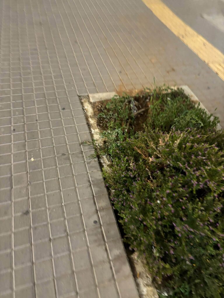 Πάτρα: Κακοτεχνίες και φθορές στα νέα έργα της Μαιζώνος και της Πλατείας Αγίου Γεωργίου ΦΩΤΟ